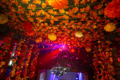 bearbeitet-0677